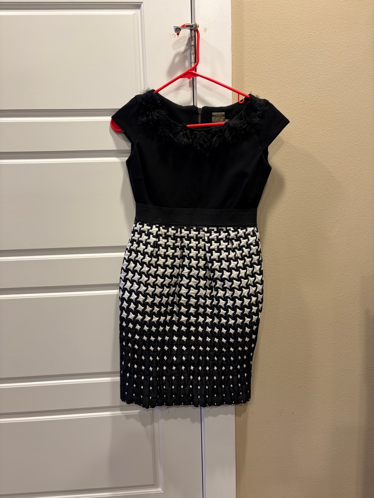 Taylor Brand Dress Size 2p